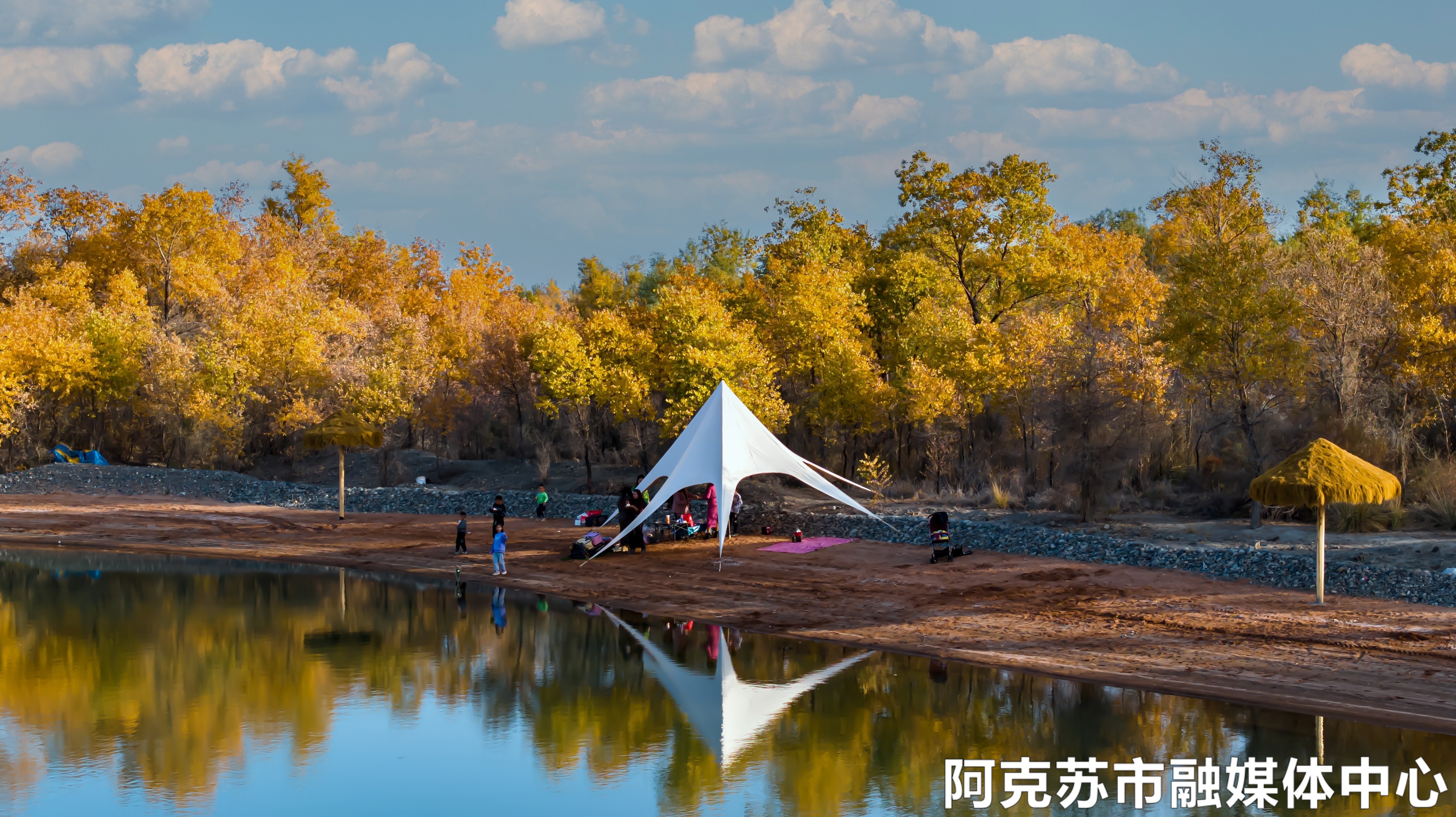 西湖胡杨岛乐园胡杨林-梁钟副38.jpg