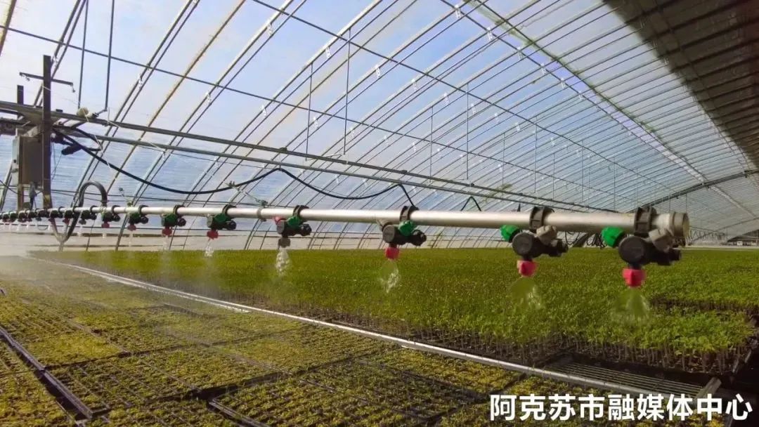 设施农业产业旺 乡村振兴底气足