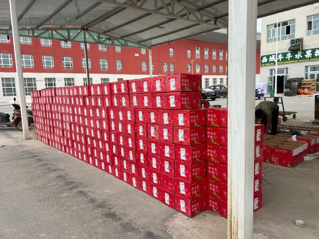 516643059.jpg